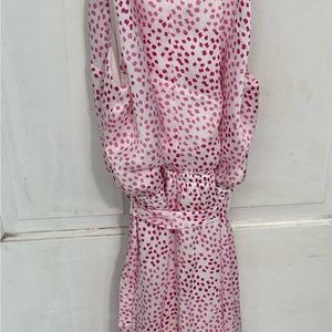 Express Dress Size Large